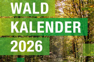 Text "Waldkalender 2026" auf einem Herbstwald als Hintergrundbild
