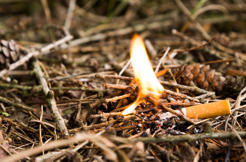 brennende Zigarette auf Waldboden