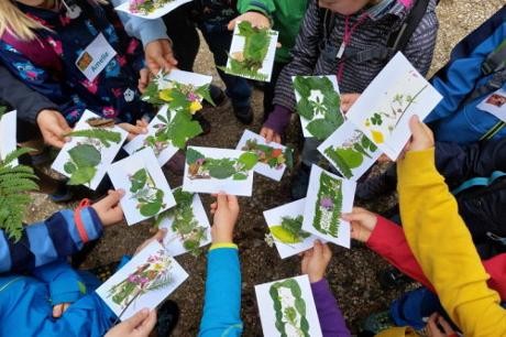 Kinder zeigen ihre selbstgemachten Waldpostkarten