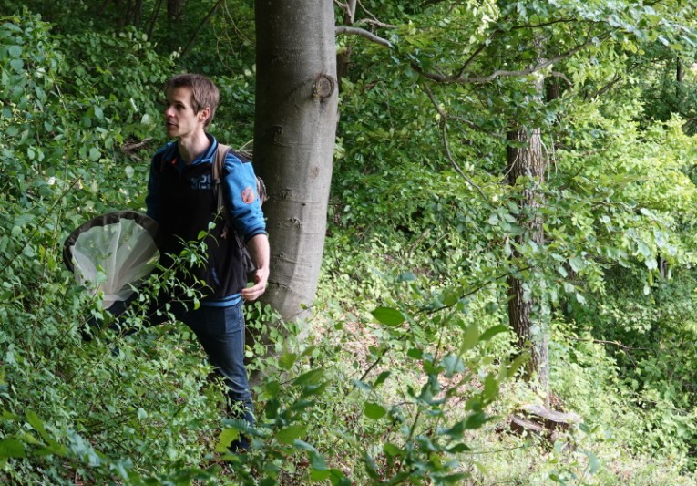 Heiko Hinneberg auf der Suche nach dem Glückswidderchen