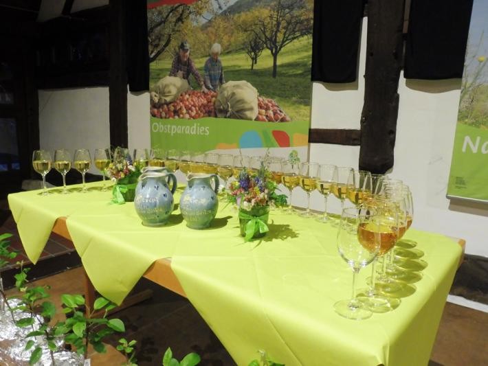 Mostprämierung 2025 Aufgereihte Moste in Krügen und Gläsern auf einem Tisch