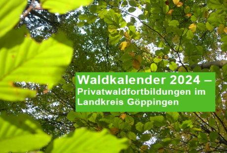 Symbolbild mit Blättern eines Laubwaldes mit integriertem Text Waldkalender 2024 - Privatwaldfortbildungen im Landkreis Göppingen Symbolbild mit Blättern eines Laubwaldes mit integriertem Text Waldkalender 2024 - Privatwaldfortbildungen im Landkreis Göppingen