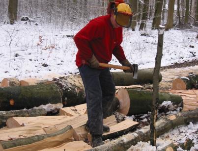 Mann beim Brennholzspalten Mann beim Brennholzspalten, Quelle: Forstamt Göppingen