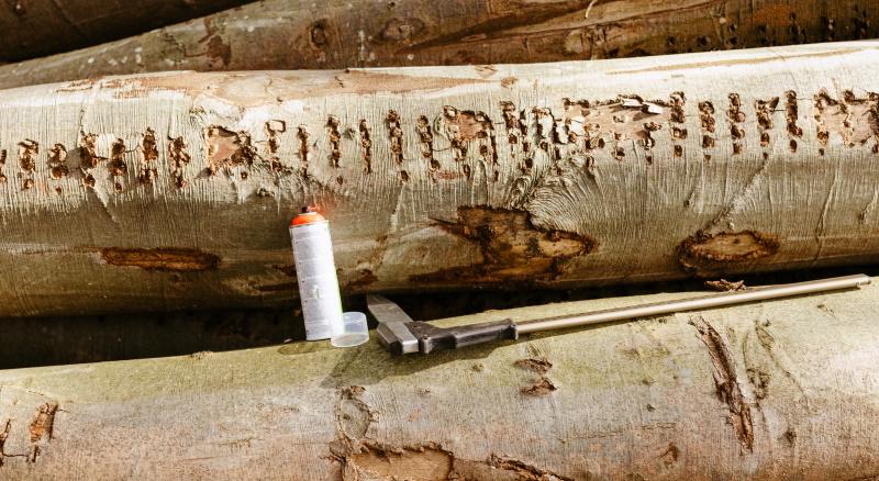 Holzpolter mit Kluppe und Spraydose