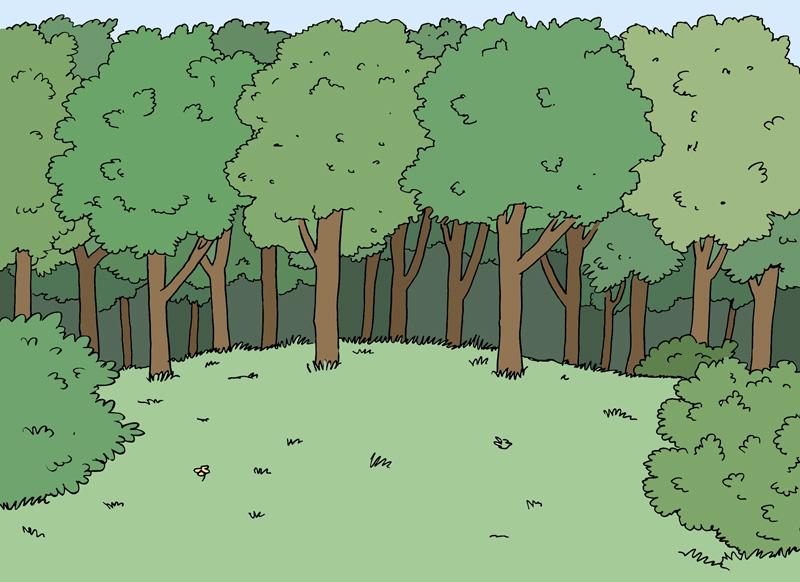 Illustration Wald