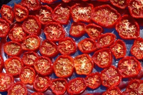 Tomatenscheiben auf einem Backblech Tomatenscheiben auf einem Backblech