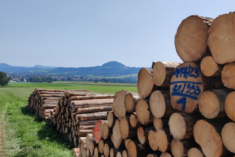 Holzpolter, im Hintergrund der Hohenstaufen. Quelle: Forstamt Göppingen, J. Meier Holzpolter, im Hintergrund der Hohenstaufen. Quelle: Forstamt Göppingen, J. Meier