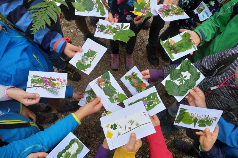 Kinder zeigen ihre Waldpostkarten (Quelle: Forstamt Göppingen) Kinder zeigen ihre Waldpostkarten (Quelle: Forstamt Göppingen)