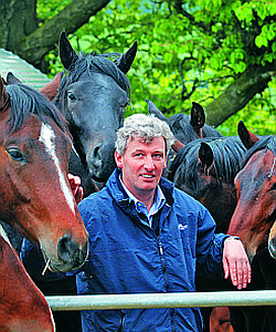 Thomas Birkhof zwischen Fohlen Thomas Birkhof zwischen Fohlen