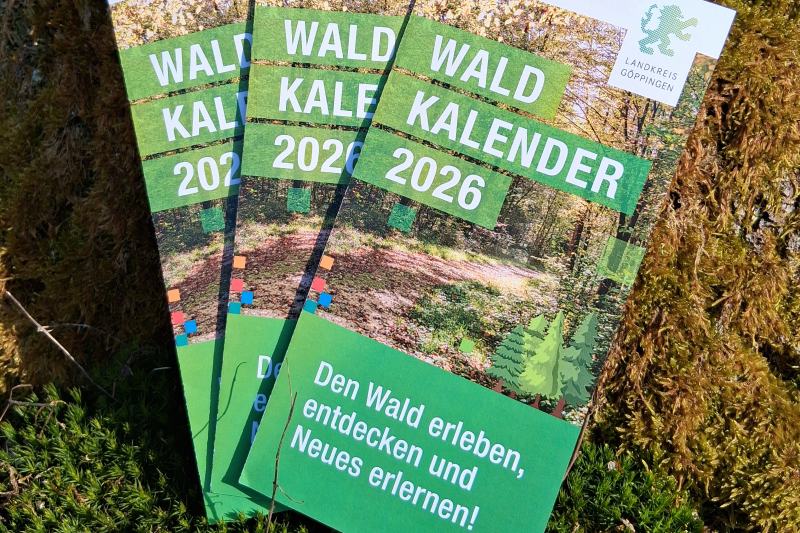 Flyer Waldkalender 2026 an einem Baum angelehnt