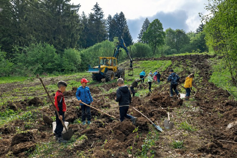 Kinder graben Pflanzlöcher für Kartoffeln Kinder graben Pflanzlöcher für Kartoffeln