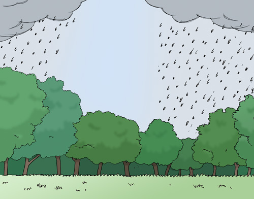 Regen fällt auf den Wald
