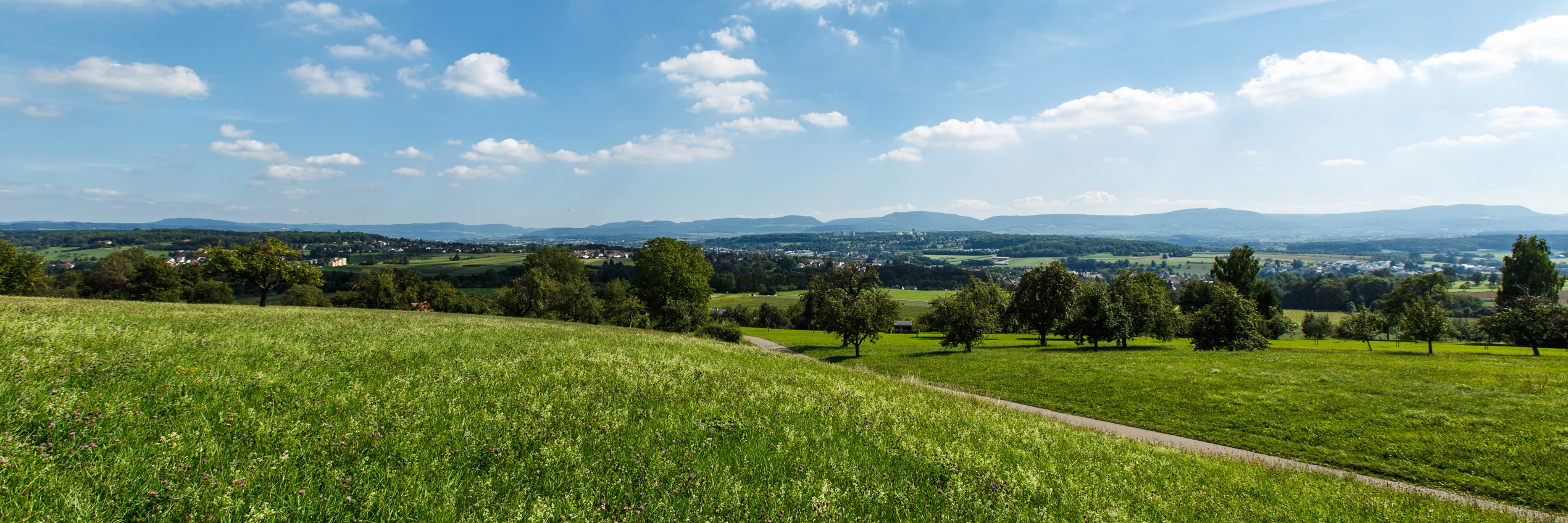 Landschaft im Landkreis Göppingen Landschaft im Landkreis Göppingen mit Wiesen, Streuobstwiesen und Blick auf die Schwäbische Alb