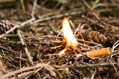 Zigarettenstummel entfacht Feuer auf trockenem Waldboden