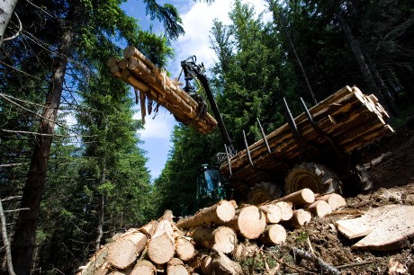 Baumstämme werden mit einem Kran am Steilhang auf einen LKW aufgeladen. Bildquelle: Landesfortverwaltung BW