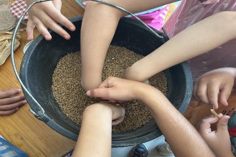 Kinderhände die in einen Eimer mit Weizen greifen