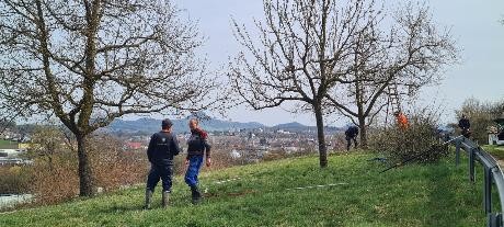 Teilnehmende beim Schnitt Baumschnitt auf einer Grünfläche