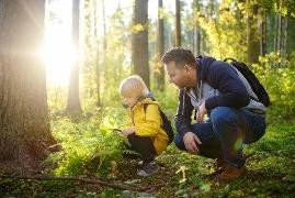 Vater und Sohn betrachten Farn im Wald