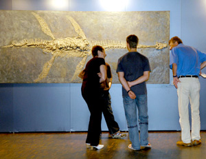 Besucher der Ausstellung vor dem Abbild eines Fischsauriers